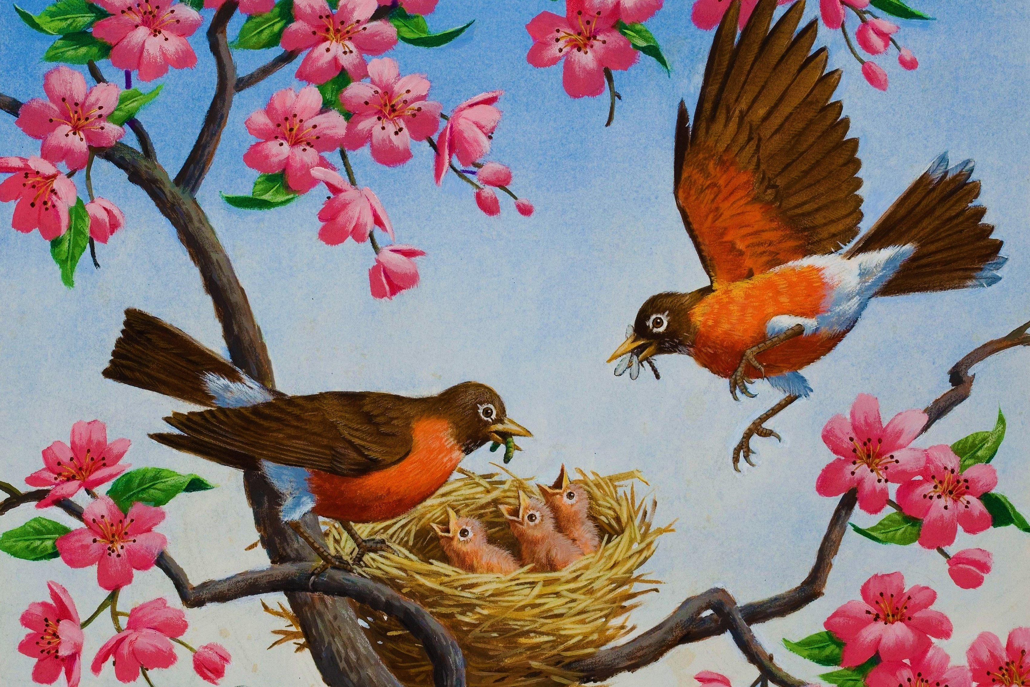 Загляните в мир птиц весны: фото для скачивания | Весенние птицы Фото  №543720 скачать