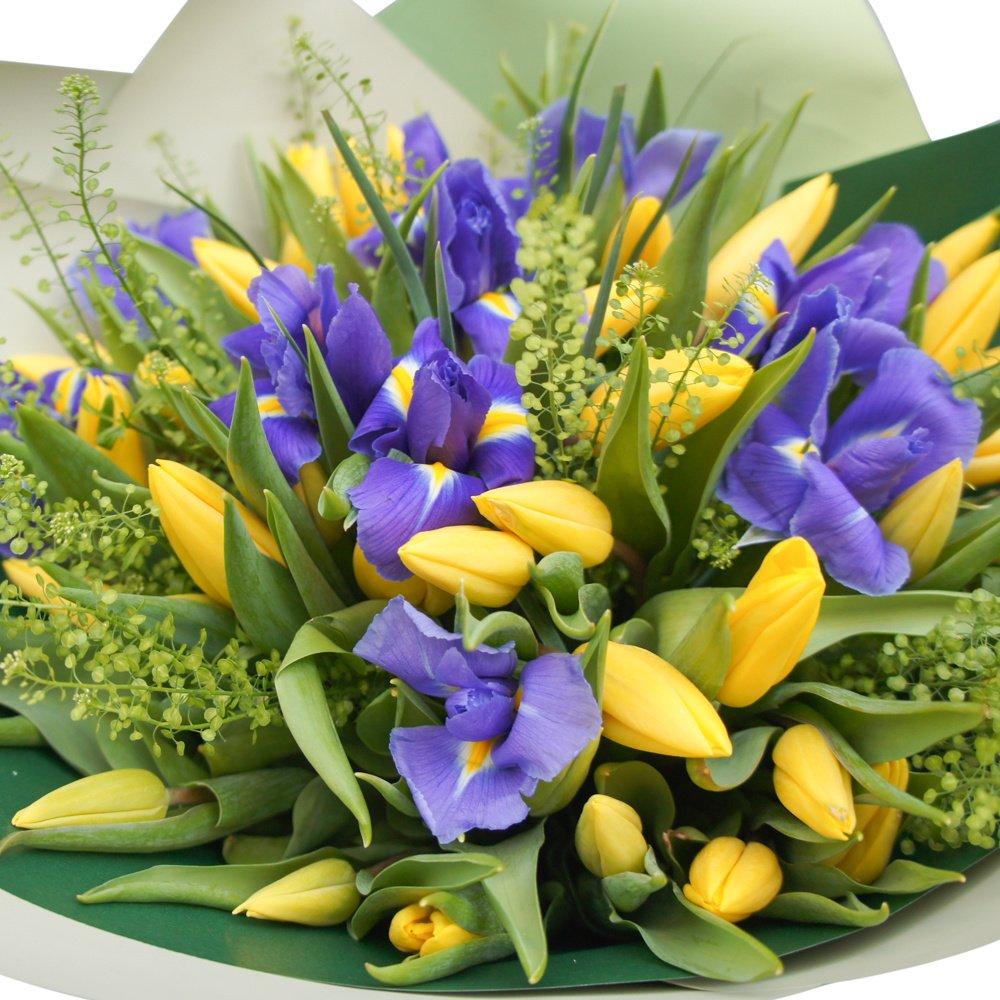 Обои мускари, цветы, листья, весна, природа картинки на рабочий стол, фото  скачать бесплатно
