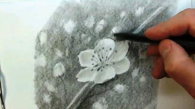 рисунок карандашом весной на …» — создано в Шедевруме