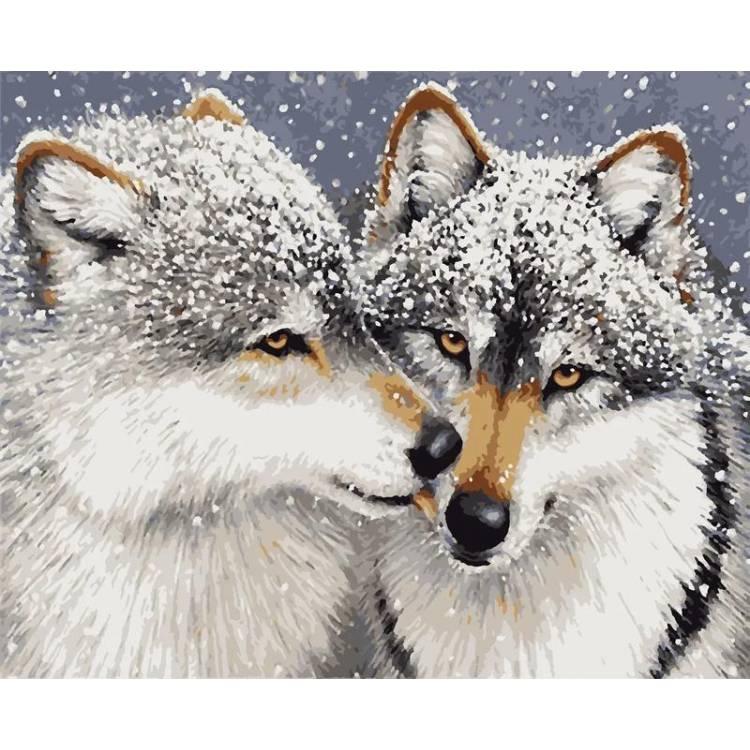 Картинки волк зимой и летом для детей (70 фото) » Картинки и статусы про  окружающий мир вокруг