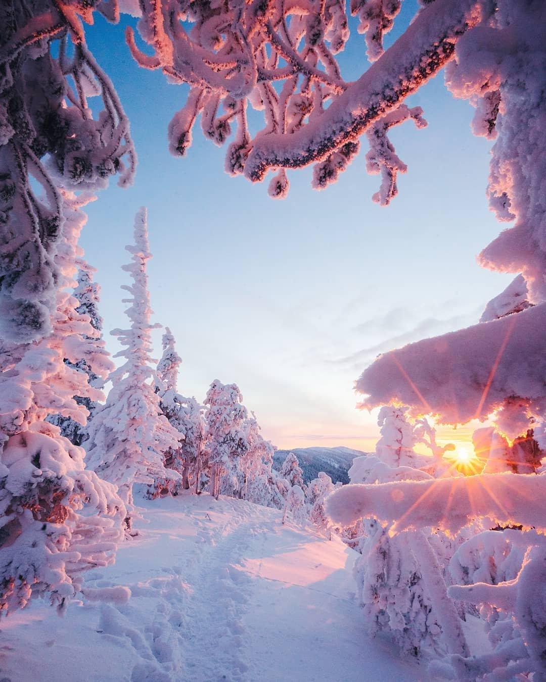 Волшебная зима в Тверской области: жители фотографируют снежные пейзажи |  официальный сайт «Тверские ведомости»