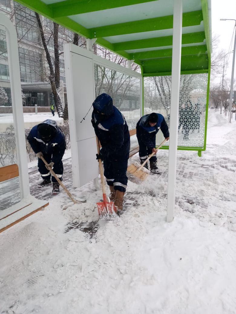 Снег в Украине - Фотографии снега из разных городов Украины 3 декабря -  Апостроф