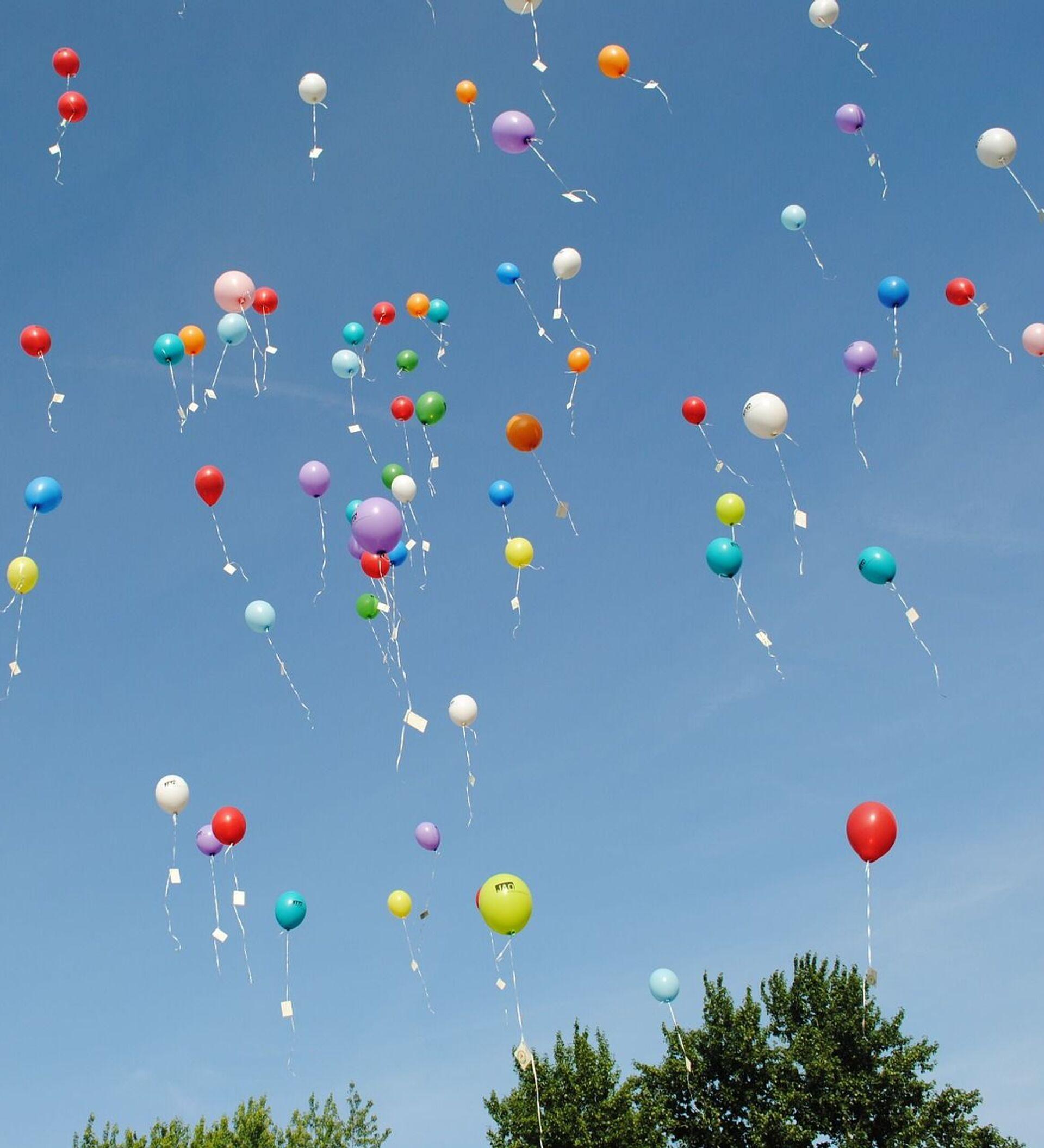 Минприроды просит белорусов не запускать воздушные шарики на праздниках -  05.04.2019, Sputnik Беларусь
