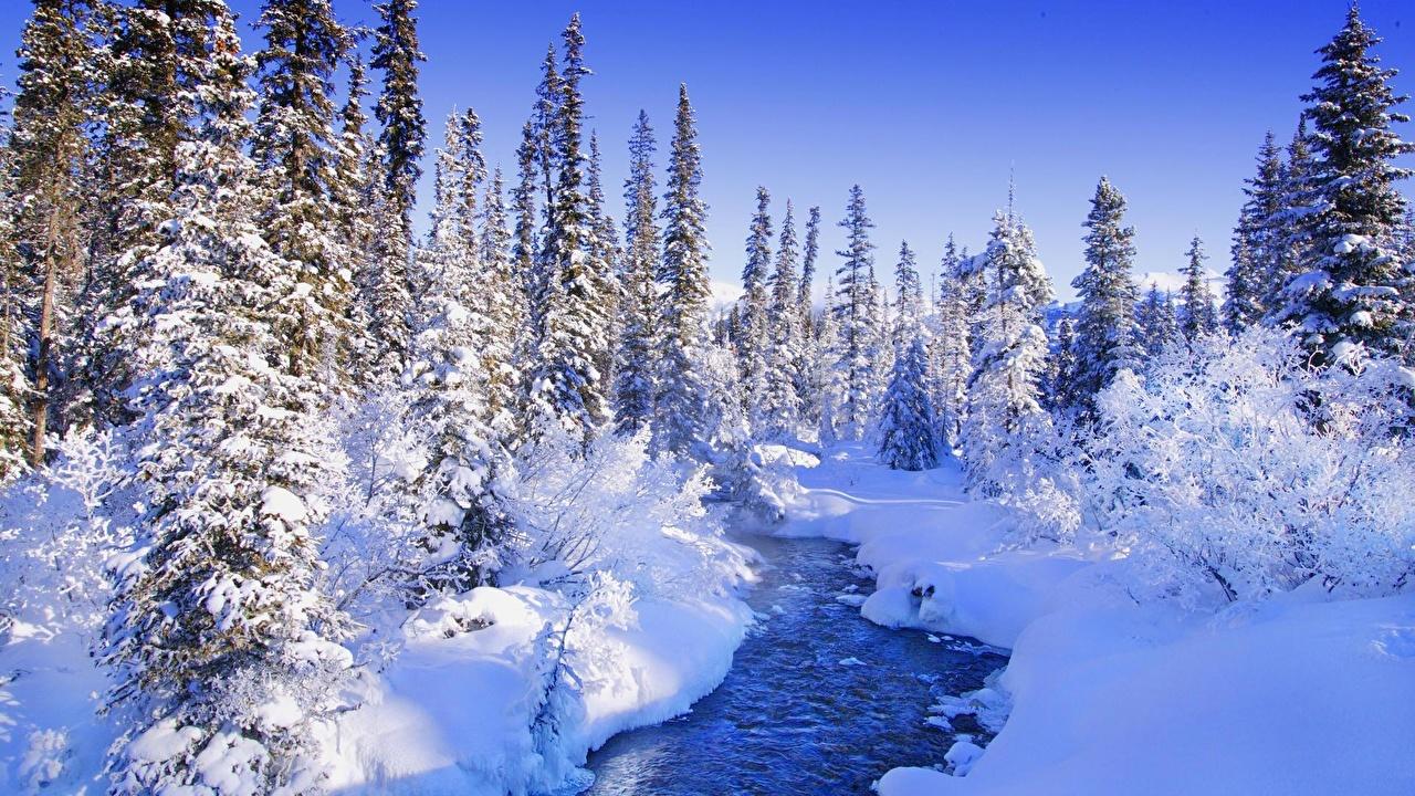 Картинки времена года зима фотографии