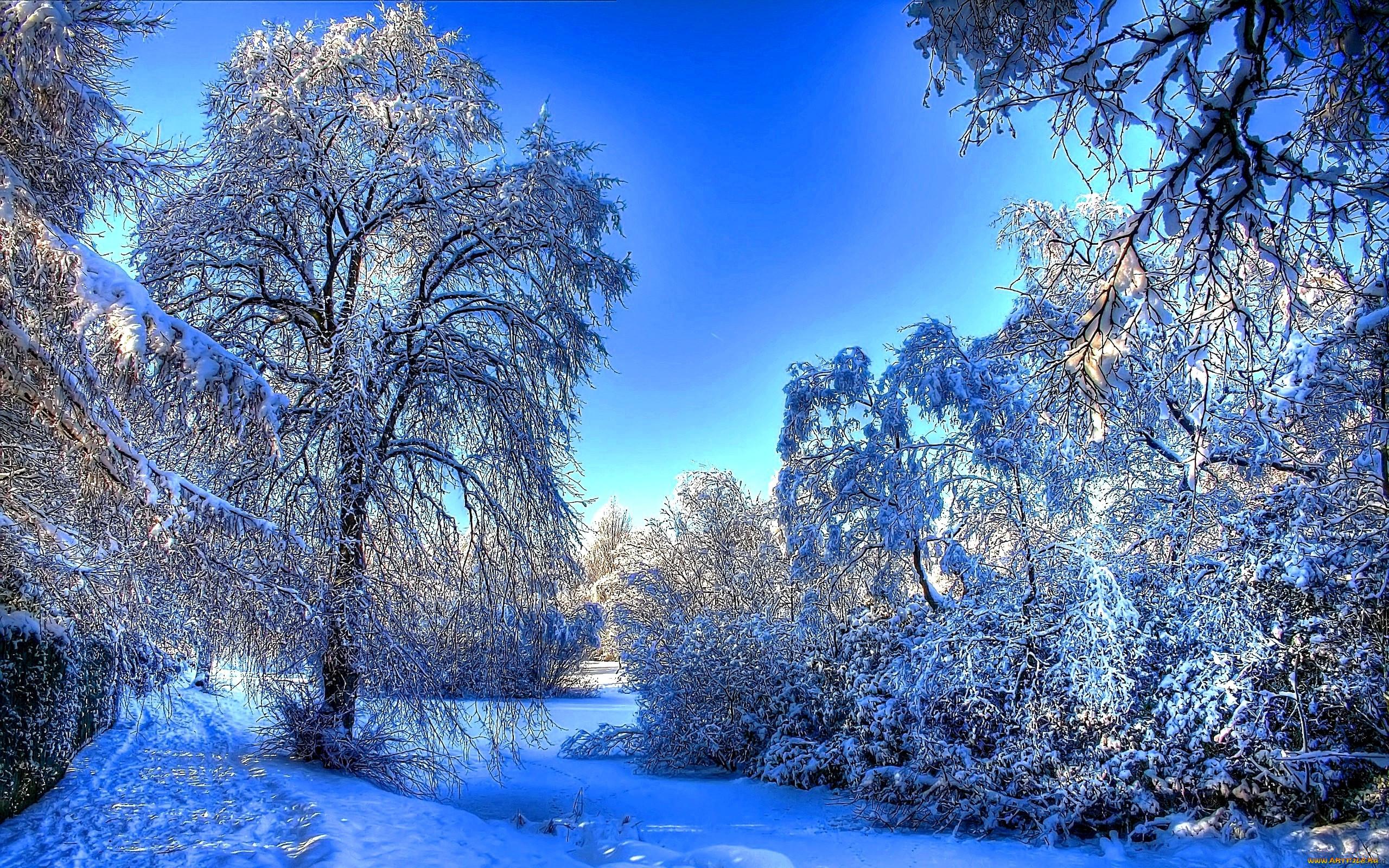 Обои Природа Зима, обои для рабочего стола, фотографии природа, зима, лес,  снег, дорожка Обои для рабочего стола, скачать обои картинки заставки на  рабочий стол.