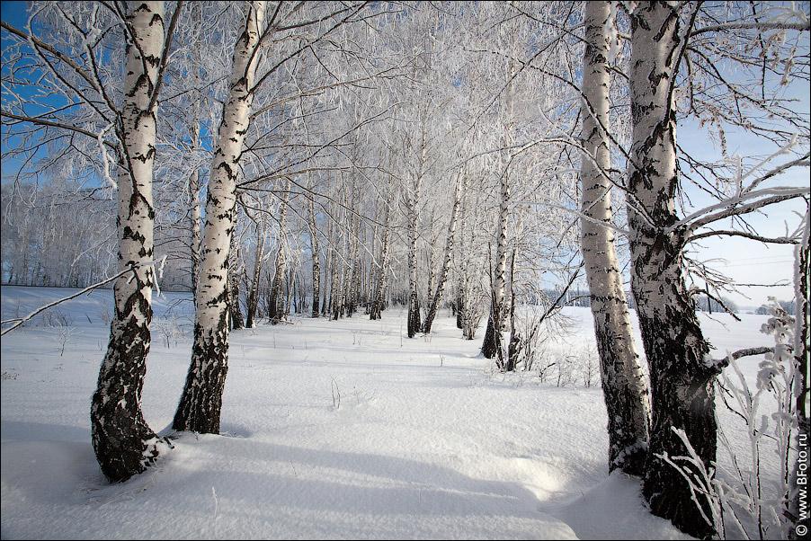 Зимние пейзажи в PNG формате: фотографии высокого качества. | Льда и снега  в природе Фото №1373406 скачать