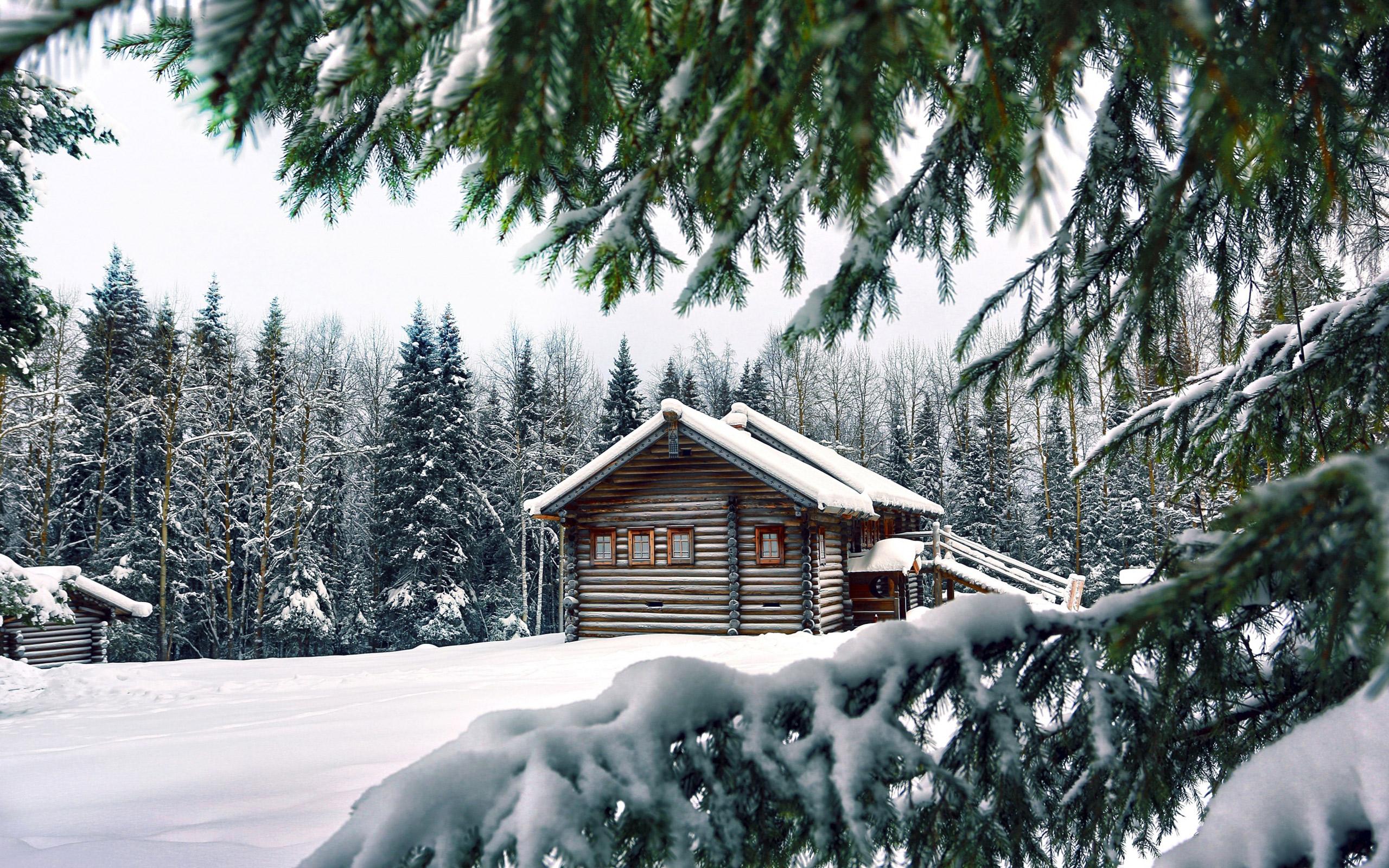 Зимний пейзаж фото высокого качества: фото, изображения и картинки