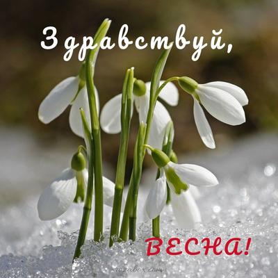 Анимированная открытка Здравствуй Весна!