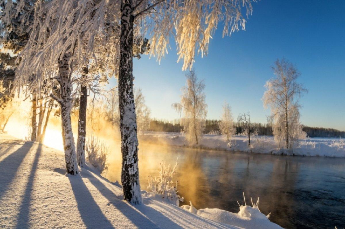 В Украину идет настоящая зима: синоптики рассказали насколько сильными  будут морозы и метели - GSMinfo