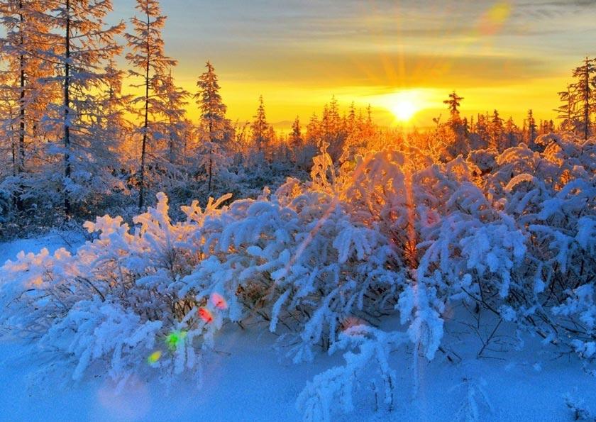 Прогноз погоды на февраль 2024: какая будет зима и когда начнется весна в  разных регионах » Информационное агентство «GULKEVICHI.COM»