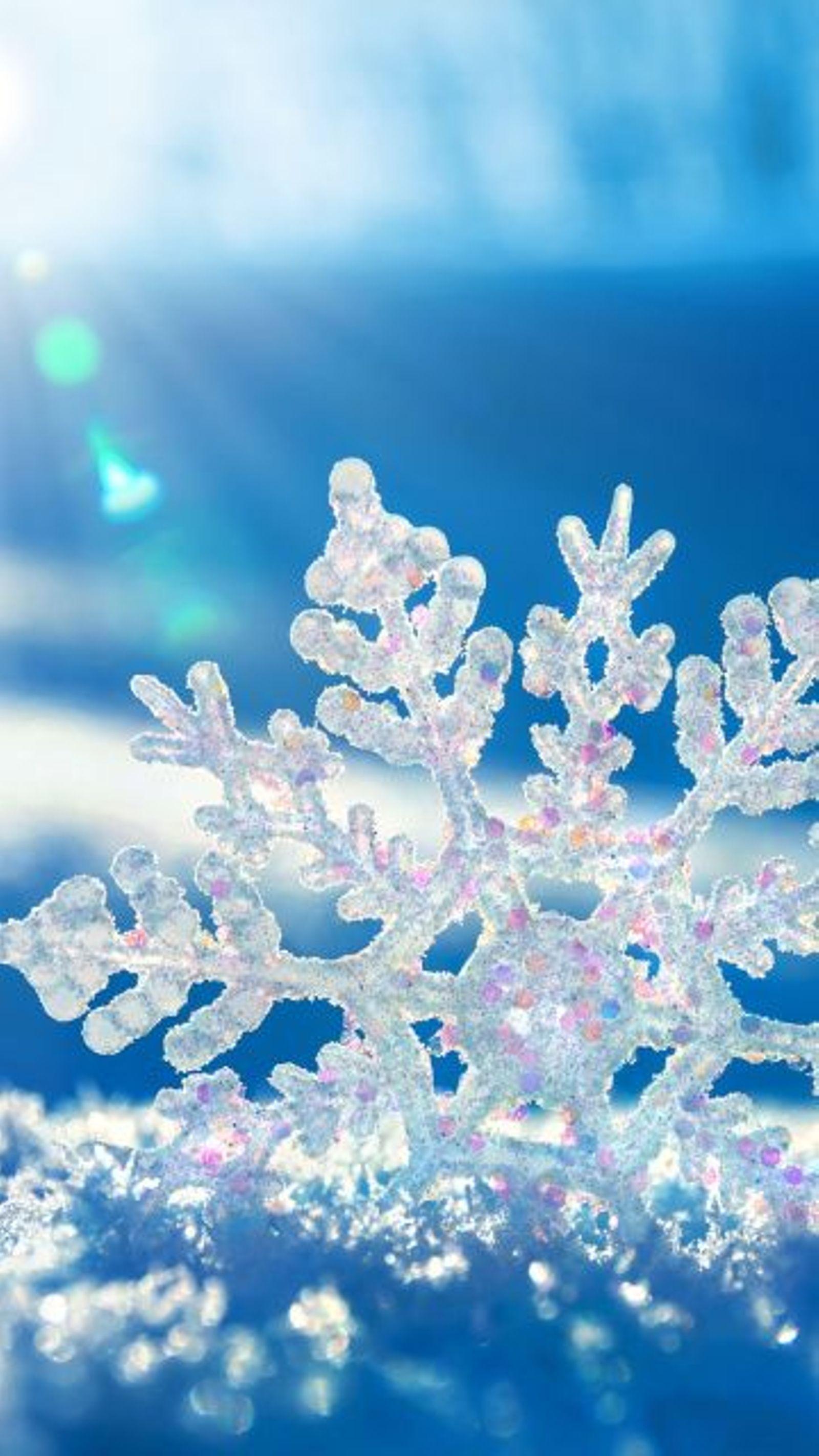 обои : природа, снег, Сотовый телефон, Деревьями, Вертикальный, Зима  1242x2688 - Sparkzale - 2199621 - красивые картинки - WallHere