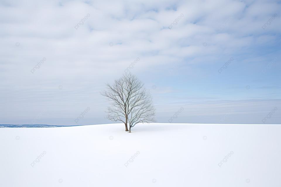 Скачать обои зима, поле, снег, природа, степь, одиночество, пламя, один,  раздел мужчины в разрешении 640x1136