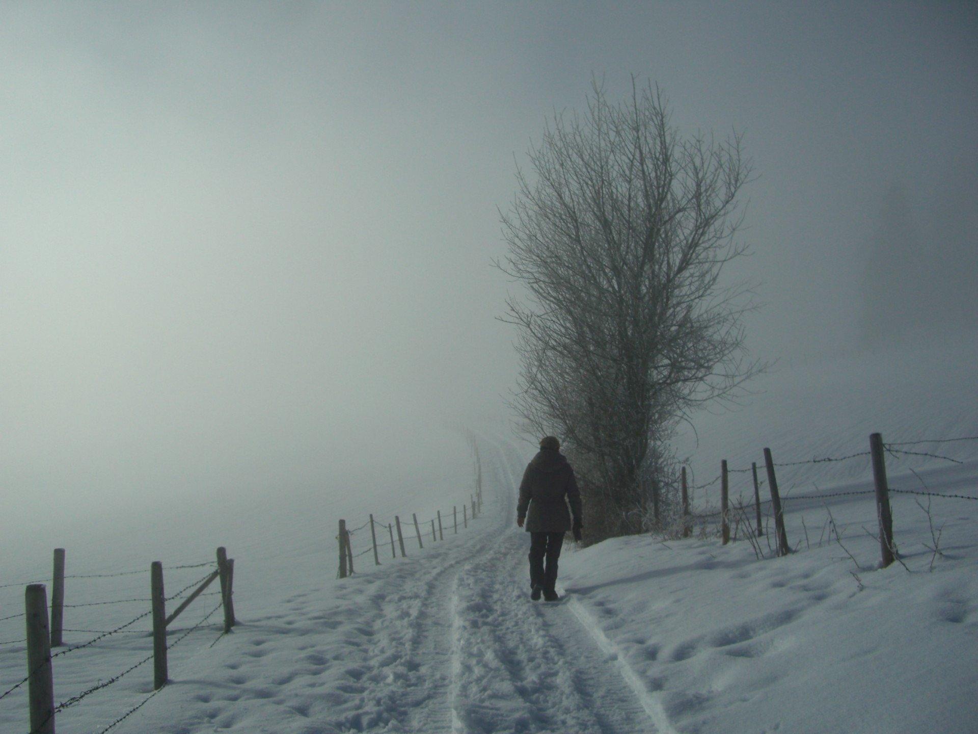 Зима одиночество ожидание хорошего» — создано в Шедевруме