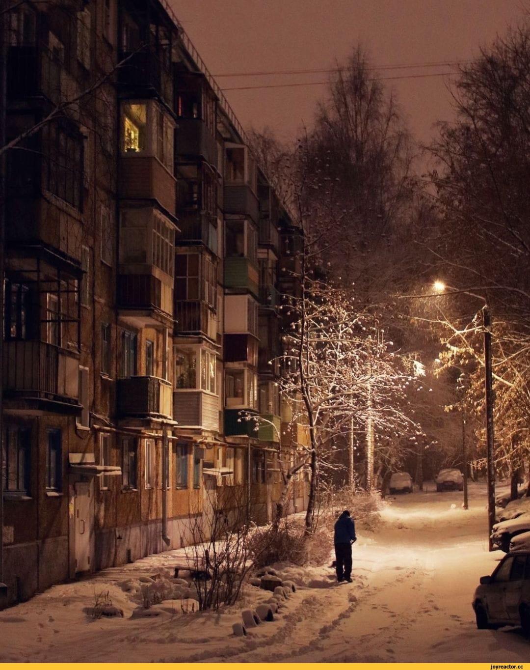 Зимние Одиночество — стоковые фотографии и другие картинки Без людей - Без  людей, Белый, Ветер - iStock