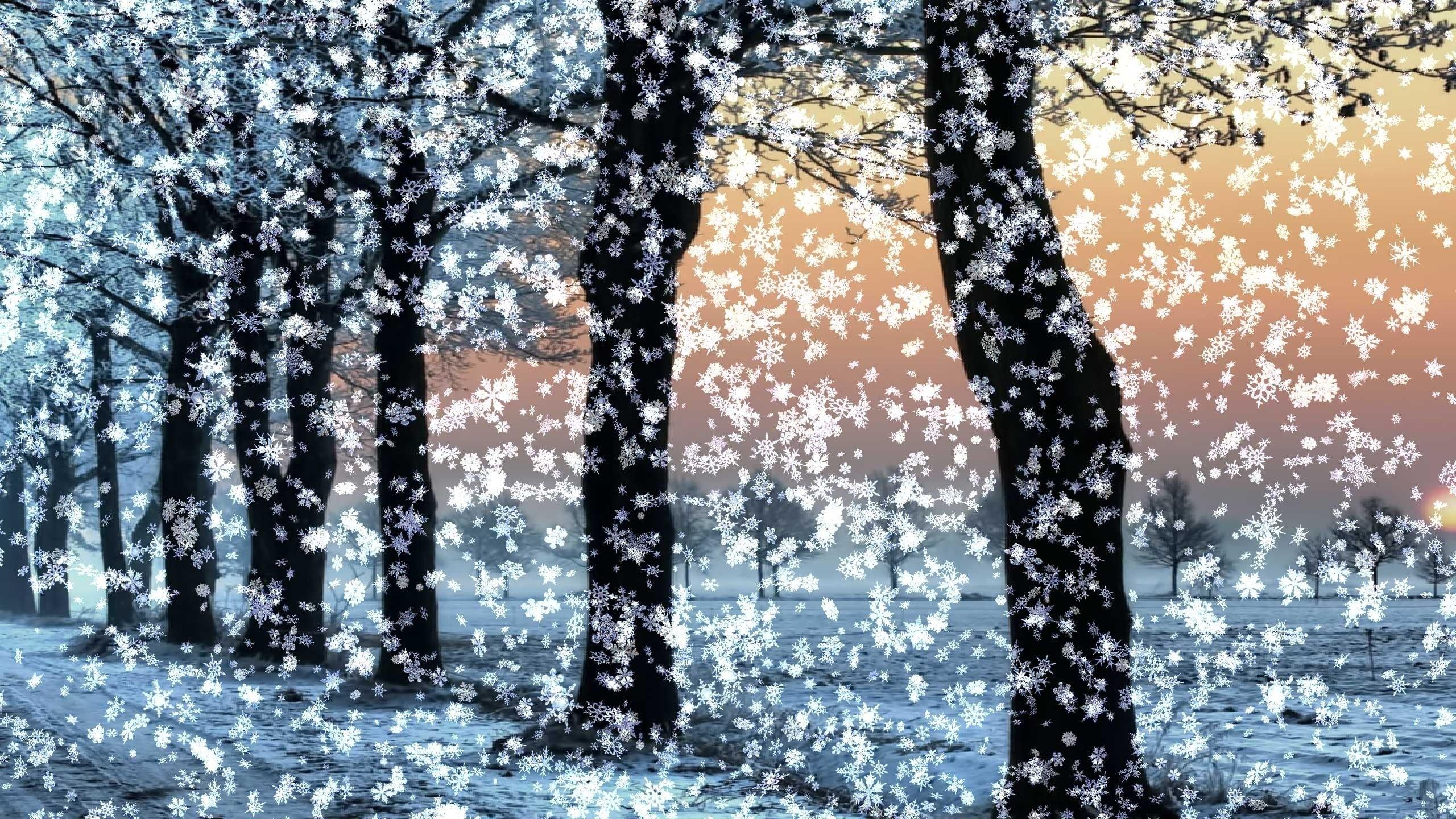 Картинки зима идет снег (70 фото) » Картинки и статусы про окружающий мир  вокруг