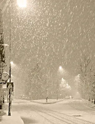 Зимний снег в свежем снегу Женщина идет, когда падает снег Стоковое  Изображение - изображение насчитывающей холодно, супруг: 159235057