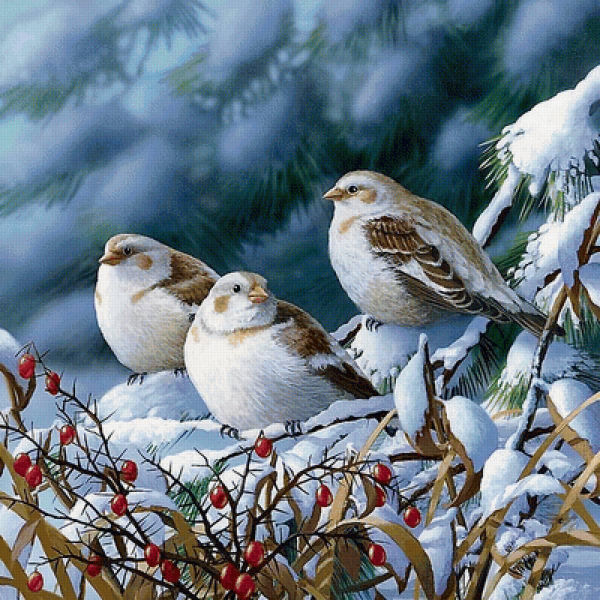 Предпросмотр схемы вышивки «Птицы зимой» (№1697090) - Вышивка крестом