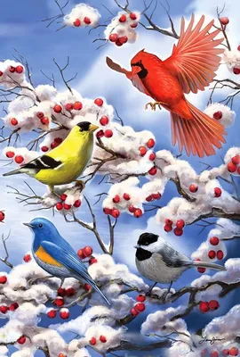 Птицы зимующие в лесу - 70 фото