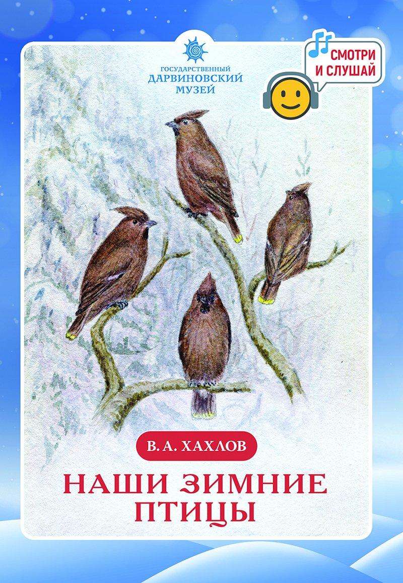 зима птицы стоковое фото. изображение насчитывающей хворостины - 17552584