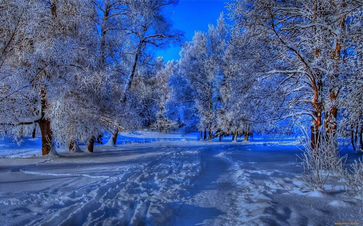 Обои природа, лес, зима, снег на рабочий стол