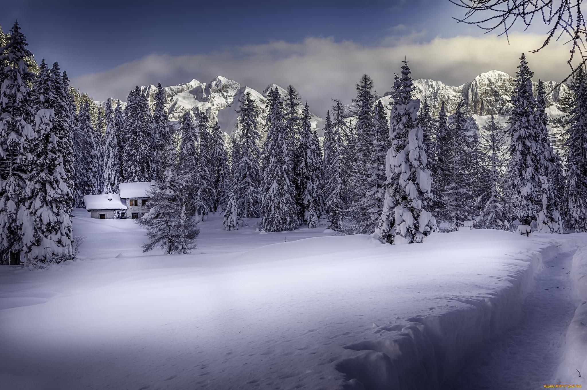 Картинка на рабочий стол - Зима, Снег, Природа | Скачать Лучшие Бесплатно  обои