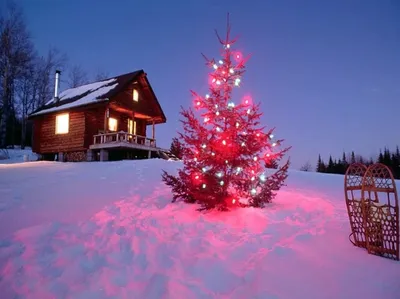 Зима елка, новый год, снег, рисунок фото, обои на рабочий стол