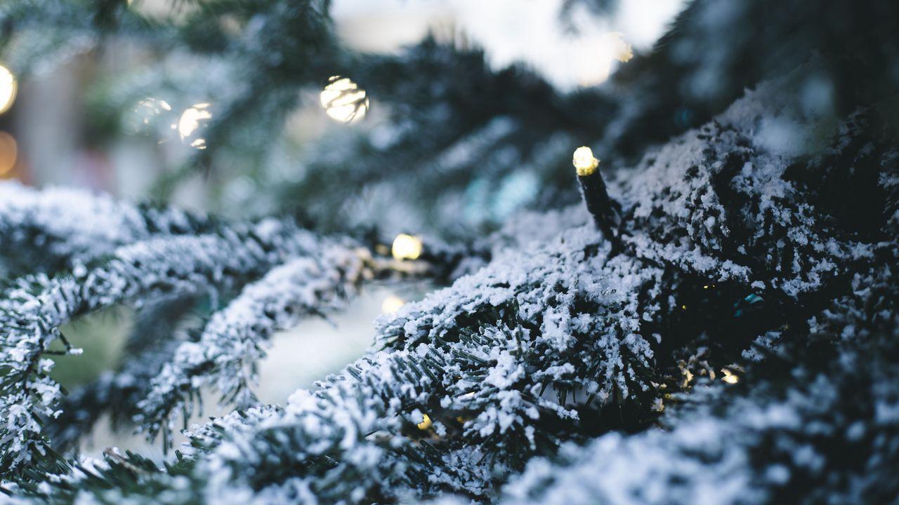 Новый Год Зима Ночь - Бесплатное фото на Pixabay - Pixabay