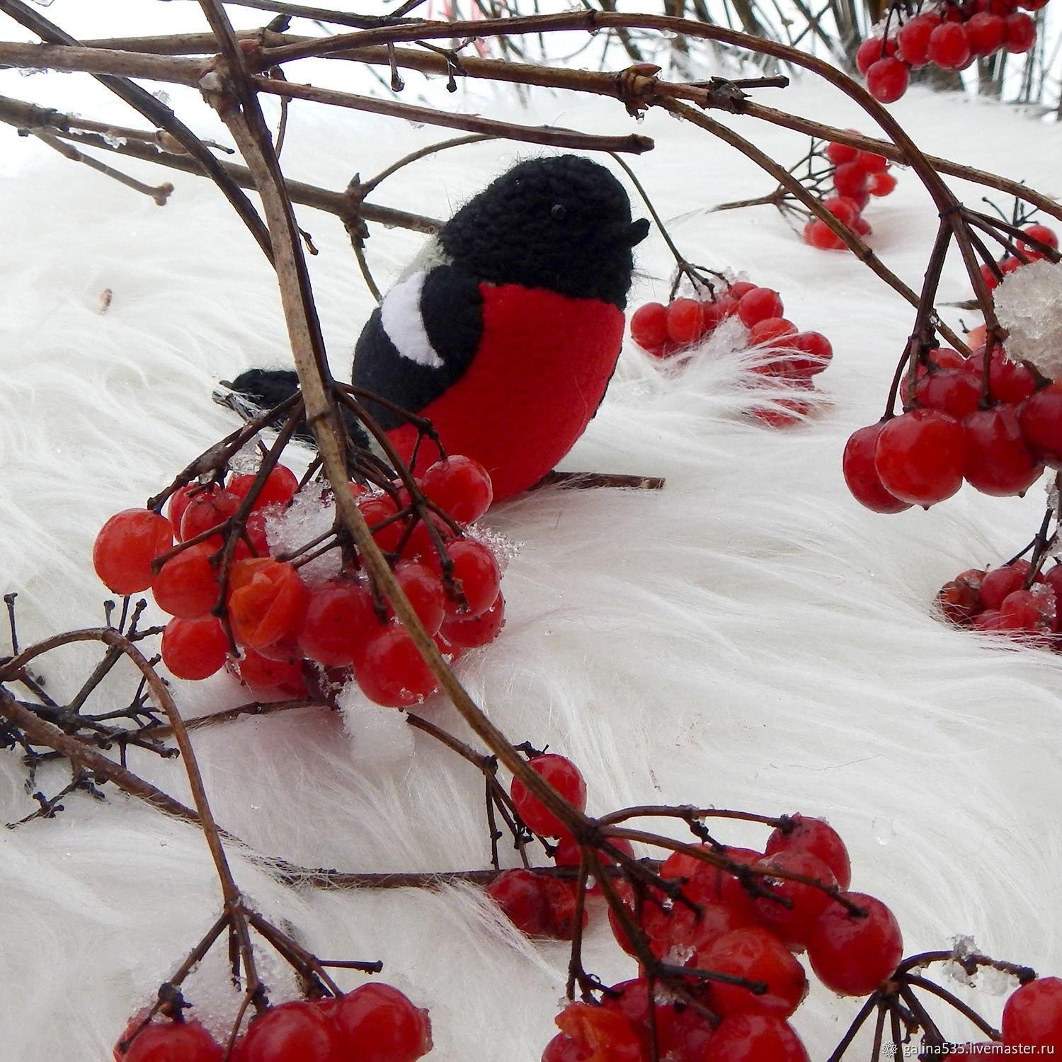 снегирь на ветке рябины фото — Рамблер/картинки | Краска, Снегирь, Живопись  птицы