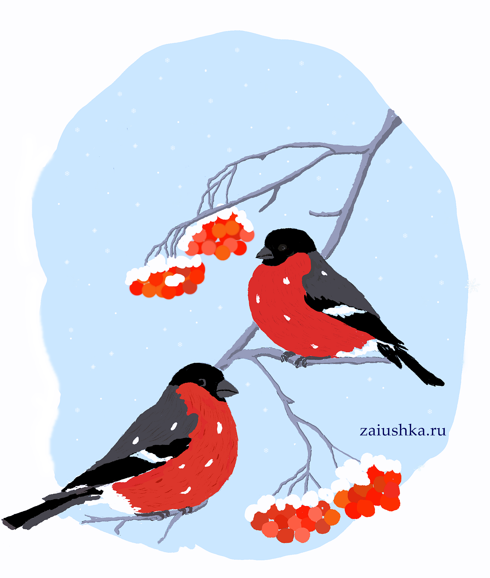 Раскраска птицы Снегири на ветке рябины для детей распечатать бесплатно