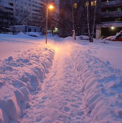Сильный снег и метель: в столице ухудшится погода / Новости города / Сайт  Москвы