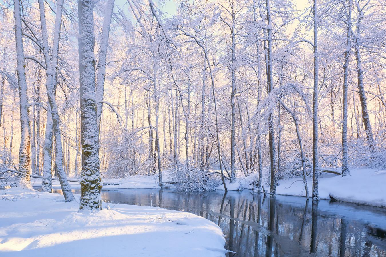 Волшебная сказочная зима, первый день…» — создано в Шедевруме