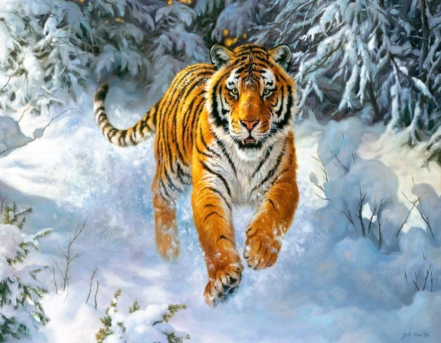 Скачать обои тигр, снег, зима, животное, snow tiger разрешение 1920x1200  #6713