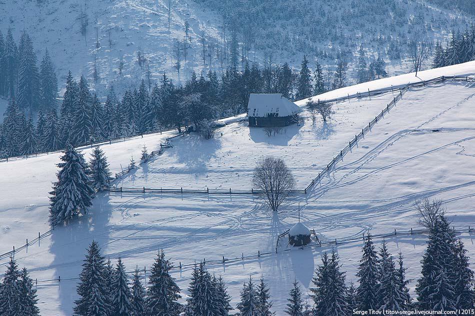 Фото Карпаты Украина ели гора Зима Природа снега Дома