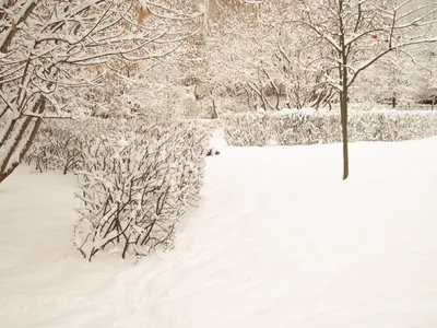 Картинки зима в контакте фотографии