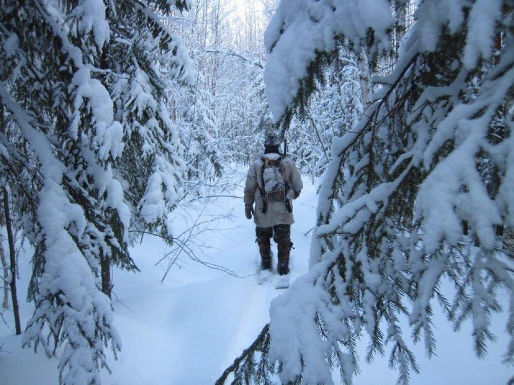 Зима в лесу (Светлана Карасева 2) / Стихи.ру