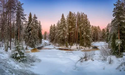 Хижина в лесу зимой - 75 фото
