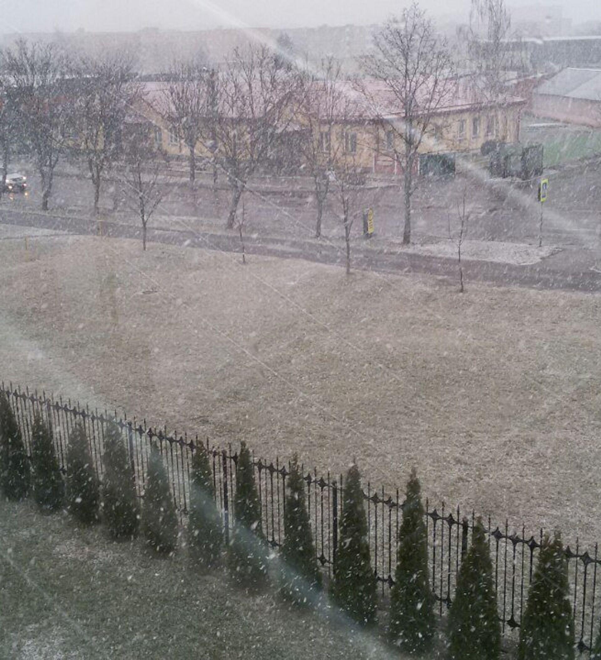 BB.lv: В марте в Латвии также ожидаются мороз и снег — синоптики