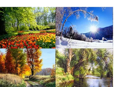 Времена Года Зима Весна - Бесплатное изображение на Pixabay - Pixabay