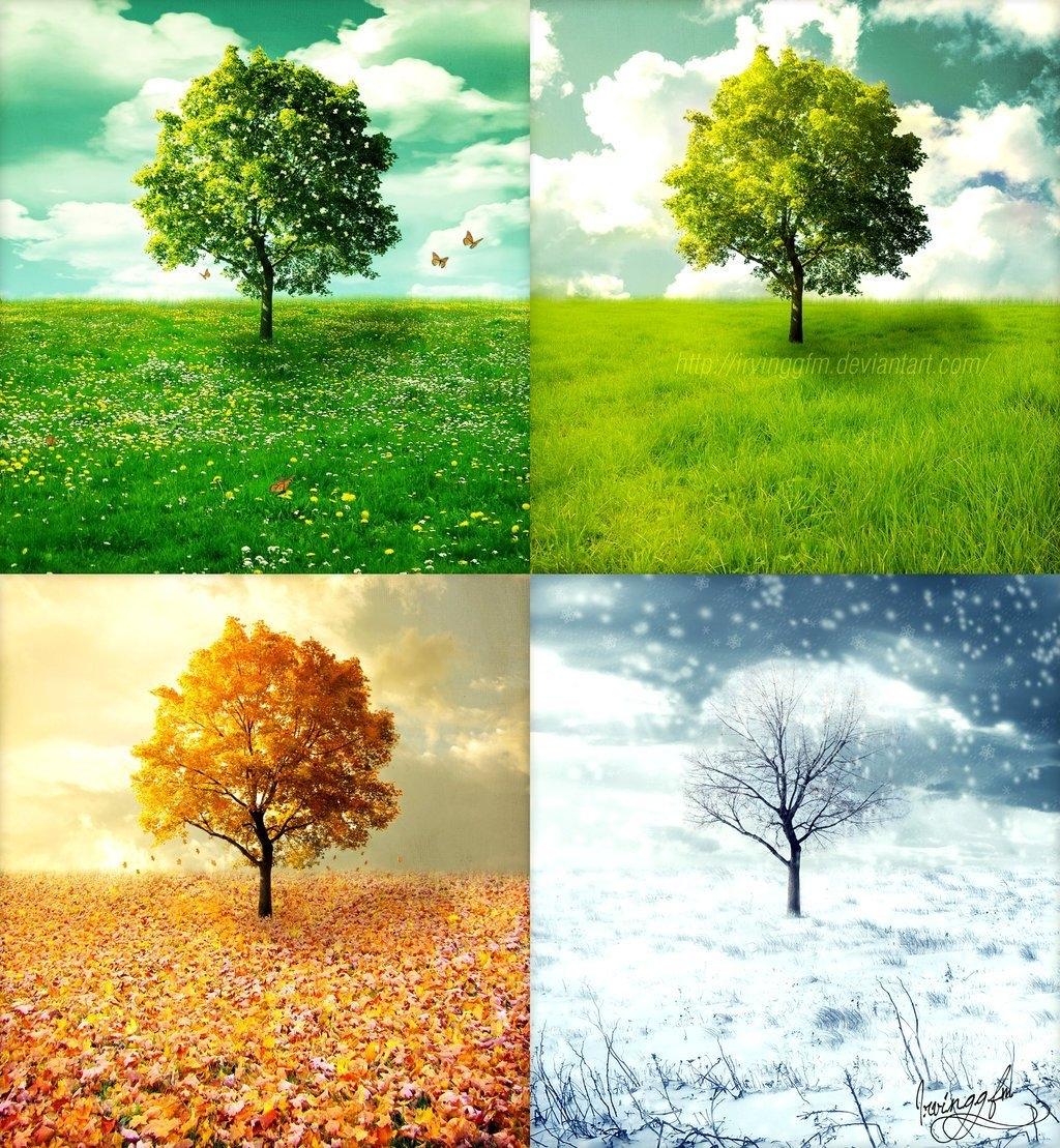 Зима, весна, осень, лето, 4 сезона…» — создано в Шедевруме