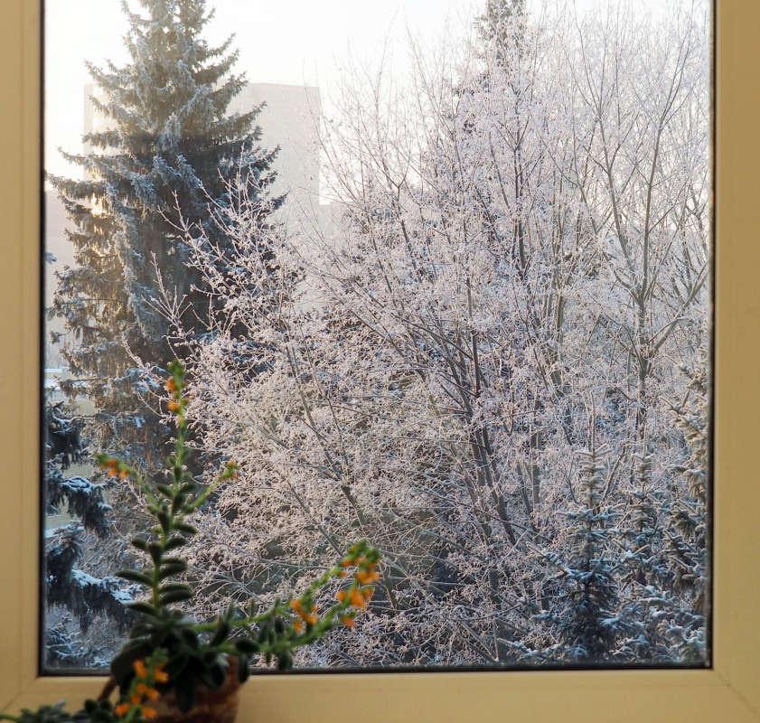 Опять зима за окном!. Photographer Prihodko Irina