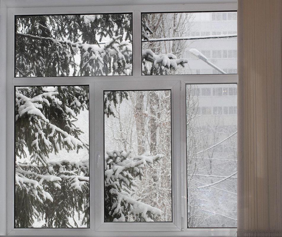 Первый снег за окном. :: Любовь Зима – Социальная сеть ФотоКто