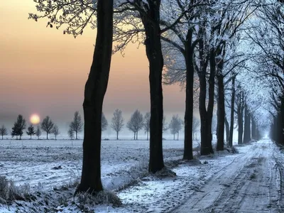 Красивый закат в лесу зимой - 74 фото