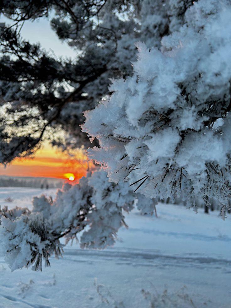 Зима закат - 71 фото