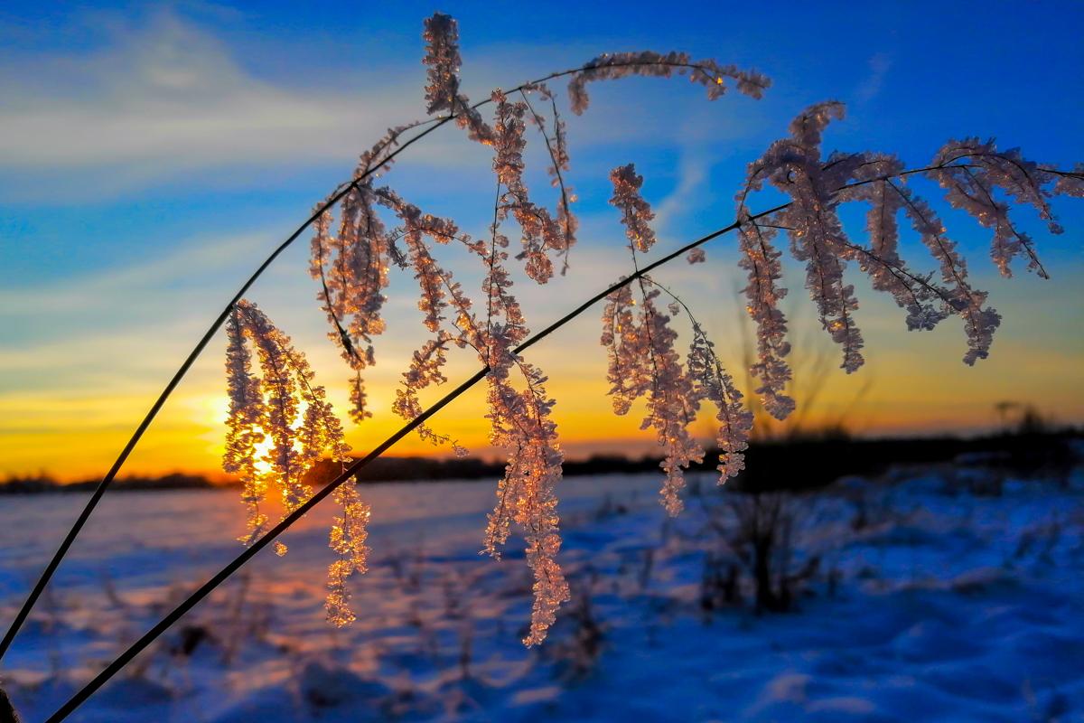 Красивый зимний закат стоковое фото ©vvvita 40214593