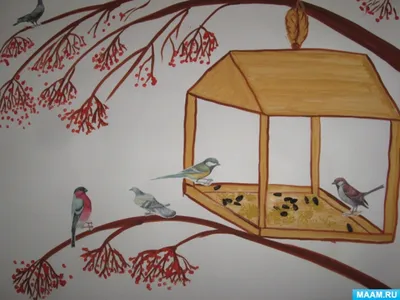 Каких птиц можно встретить зимой возле птичьей кормушки | Природа Карелии |  Дзен