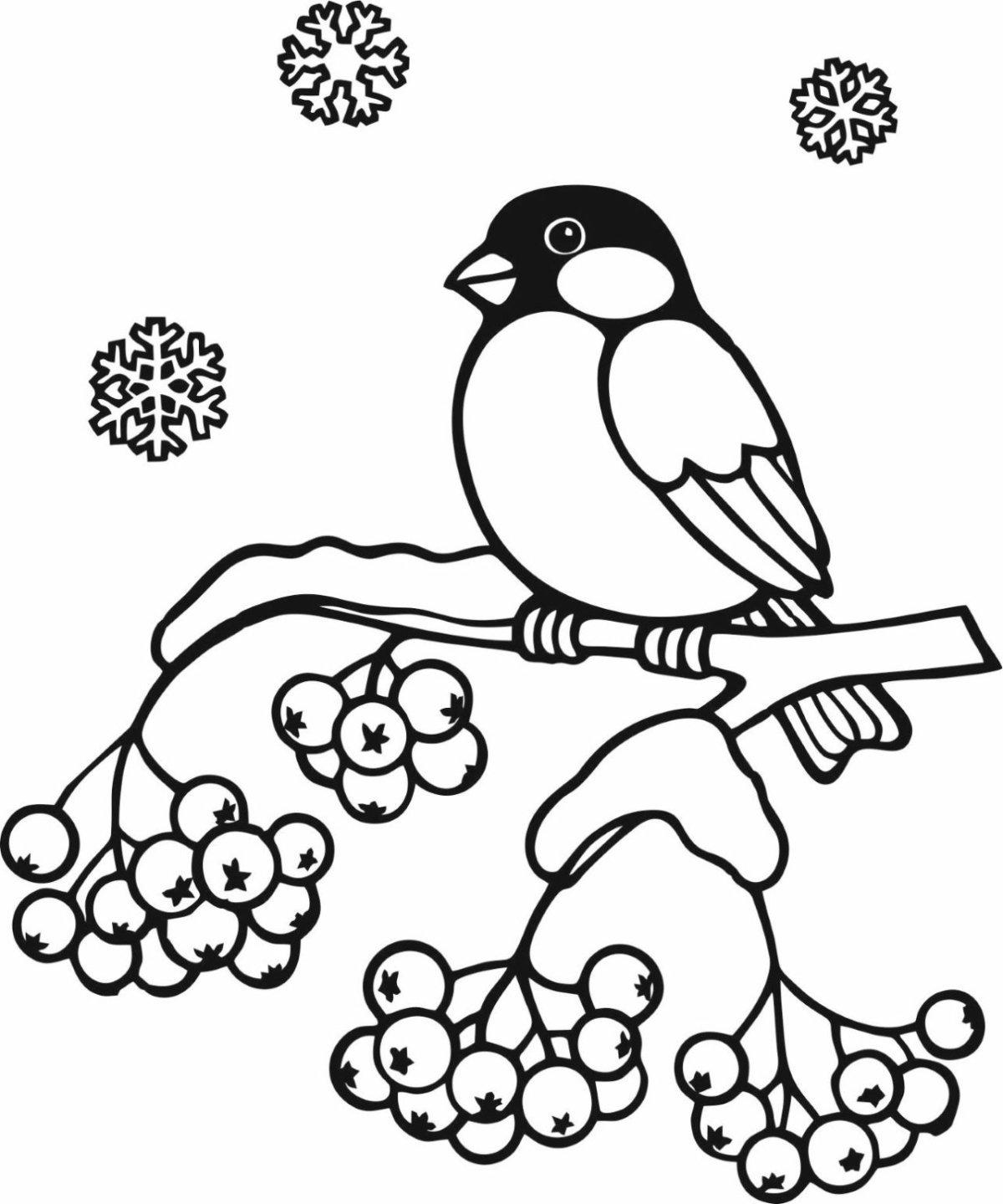 Зимующие птицы рисунок - 76 фото