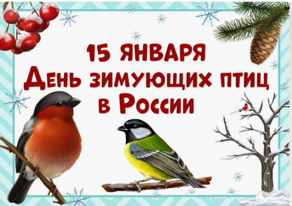 Познавательный час «Зимующие птицы» 2024, Татышлинский район — дата и место  проведения, программа мероприятия.