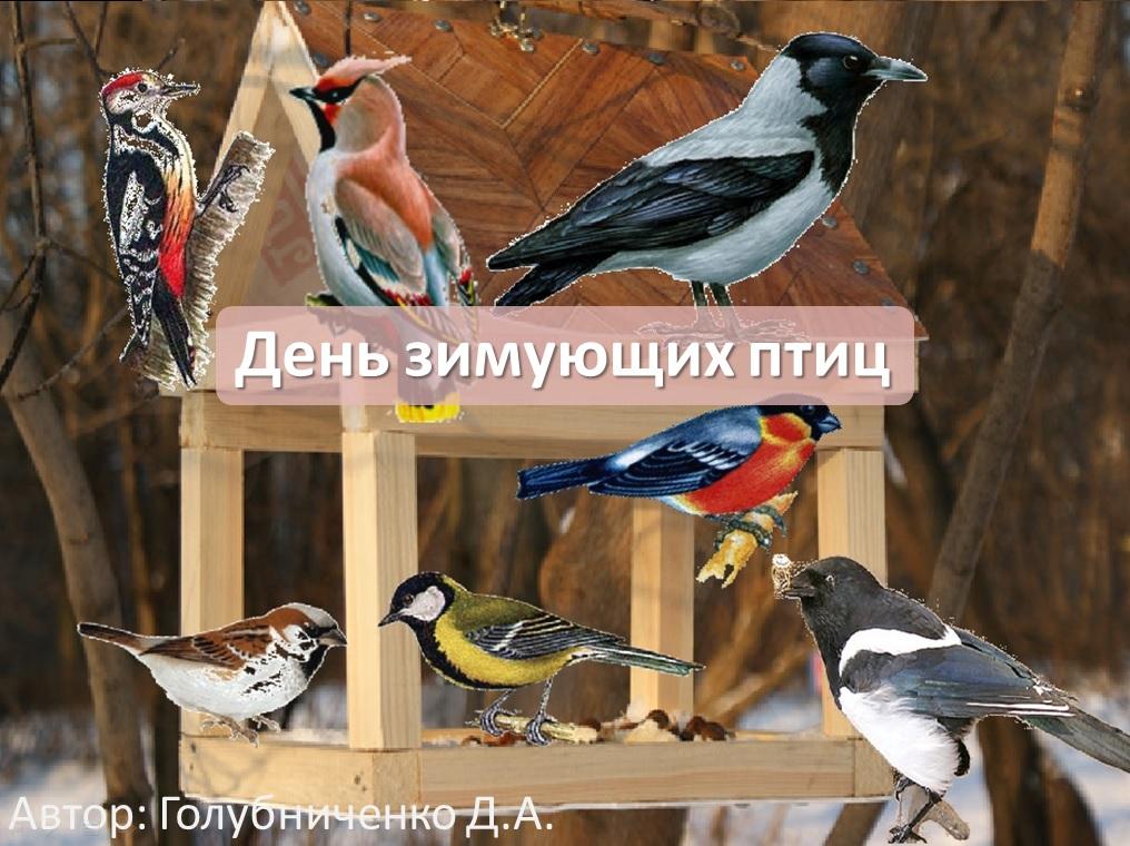 Экологический час «День зимующих птиц в России» 2024, Ермишинский район —  дата и место проведения, программа мероприятия.