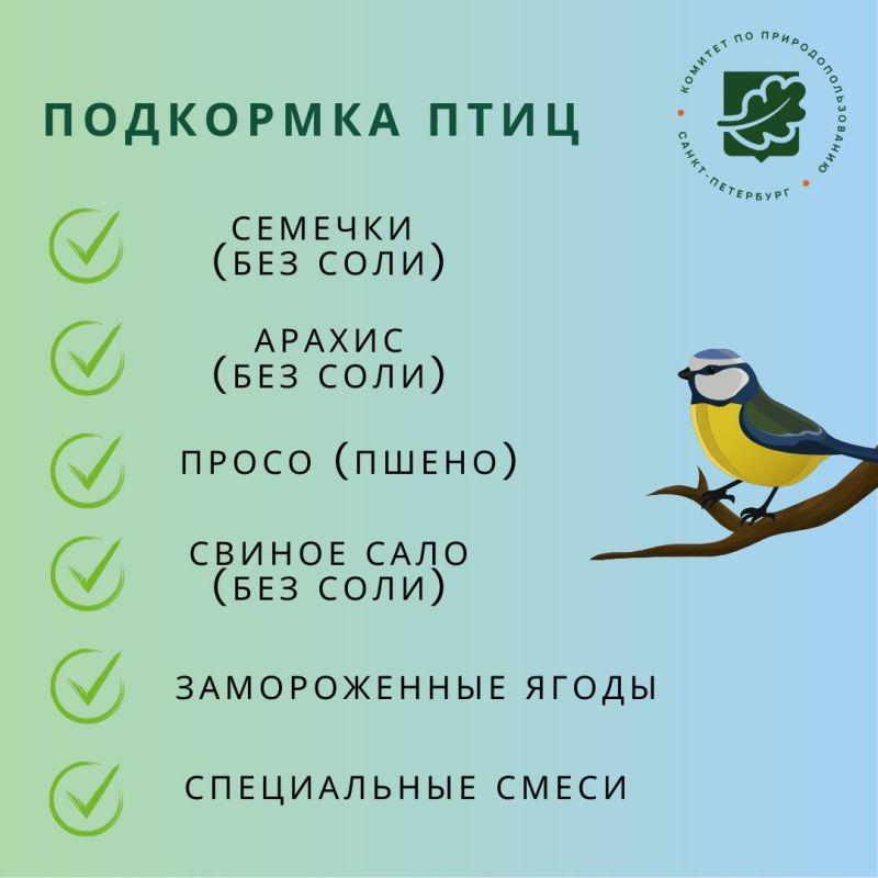 День зимующих птиц России»