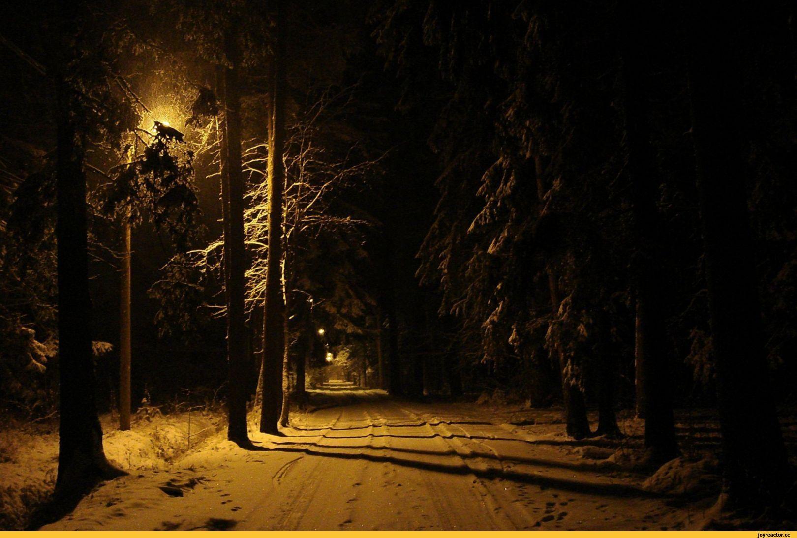 Ночь. Улица. Зима | Пикабу